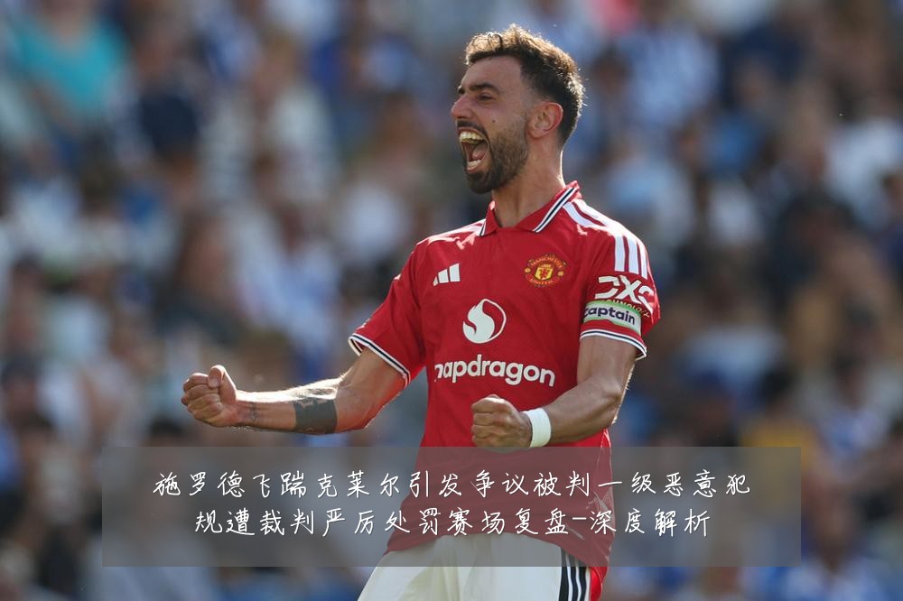 施罗德飞踹克莱尔引发争议被判一级恶意犯规遭裁判严厉处罚赛场复盘-深度解析