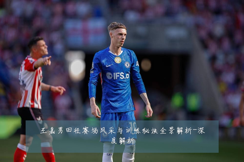 王嘉男田径赛场风采与训练秘诀全景解析-深度解析